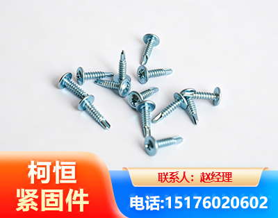 岳阳华司钻尾丝
