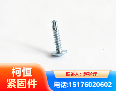 岳阳华司钻尾丝